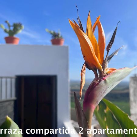 Apartament Casa Abades Arcos De La Frontera Zewnętrze zdjęcie
